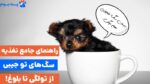 نکات و راهنمای جامع غذای سگ تو جیبی؛ چقدر بهشون غذا بدیم؟