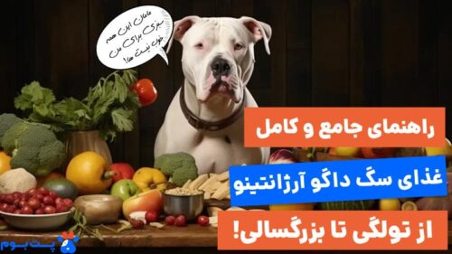 راهنمای غذای سگ داگو آرژانتینو