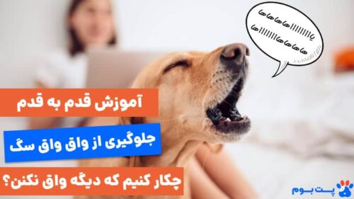 آموزش پارس نکردن سگ؛ چکار کنیم که دیگه واق واق نکنن