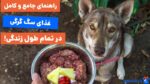 سیر تا پیاز غذای سگ گرگی برای تمام طول زندگی