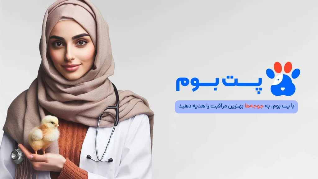 دامپزشک جوجه و دامپزشک جوجه رنگی پت بوم با مشاوره تخصصی در کمترین زمان به پت شما کمک میکنه.