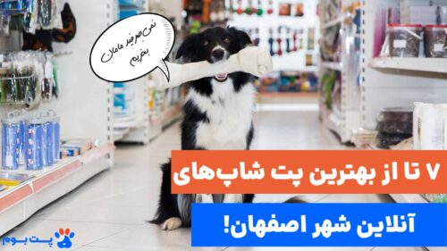 بهترین پت شاپ آنلاین اصفهان