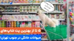 بهترین پت شاپ جنوب تهران چیه؟ معرفی 5 تا از بهترین‌ها