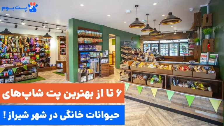 بهترین پت شاپ شیراز کجا قرار داره؟ معرفی 6 تا از بهترین‌های شیراز
