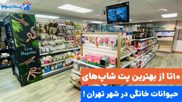 بهترین پت شاپ تهران چی نام داره؟ 10 تا از بهترین‌های تهران