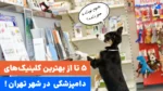 بهترین کلینیک دامپزشکی تهران کجاست؟ 5 تا از بهترین‌های تهران!