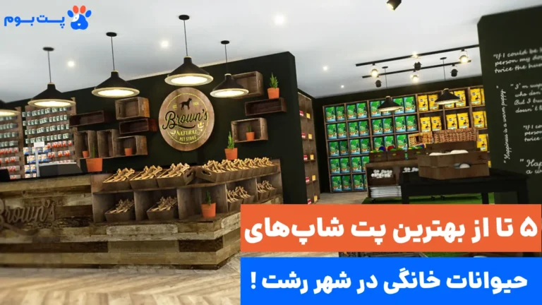 بهترین پت شاپ رشت کجا قرار داره؟ معرفی 5 تا از بهترین‌های رشت