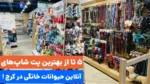 معرفی 5 پت شاپ آنلاین کرج که باید بشناسین! (لوکیشن و سایت)