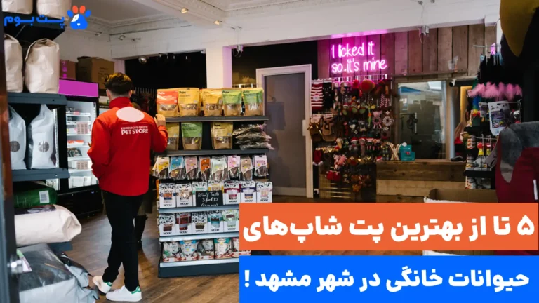 بهترین پت شاپ مشهد کجا قرار داره؟ معرفی 5 تا از بهترین‌های مشهد