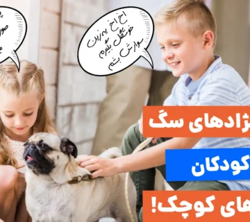 معرفی بهترین نژاد سگ برای کودکان در آپارتمان