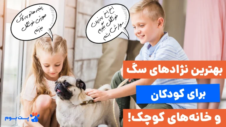 معرفی 7 تا از بهترین نژاد سگ برای کودکان در آپارتمان و خانه‌های کوچک!
