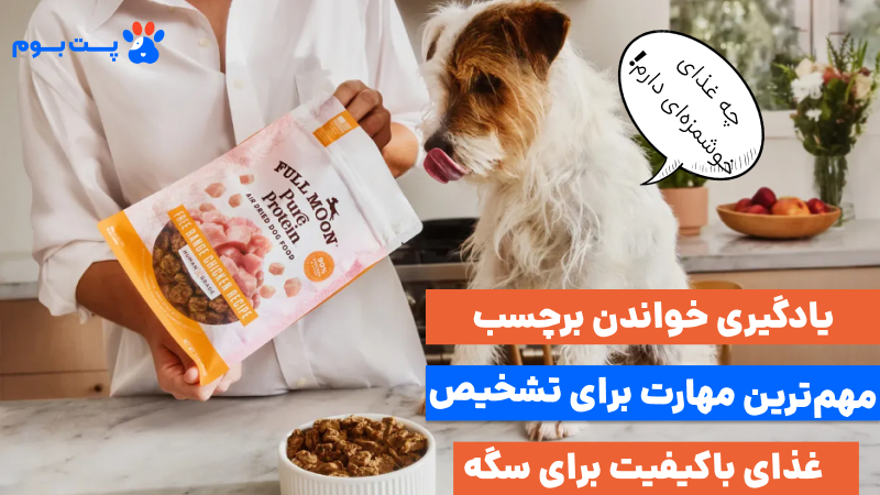 یادگیری خواندن برچسب، مهم‌ترین مهارت برای تشخیص یک غذای سگ باکیفیت به حساب میاد.