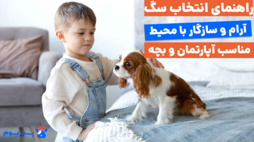 پیدا کردن سگ مناسب کودکان یکی از مهم‌ترین دغدغه‌های خانواده‌هاست.