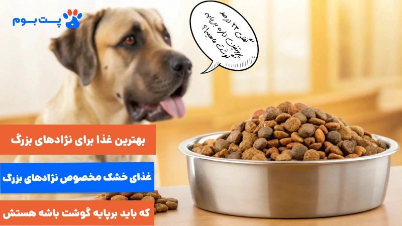بهترین غذا برای نژادهای بزرگ، غذای خشک مخصوص نژآدهای بزرگ هستش که باید برپایه گوشت باشه هستش