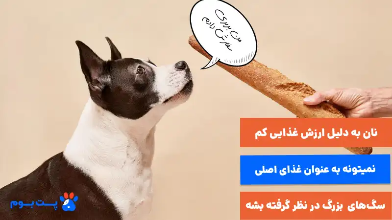 نان به دلیل ارزش غذای یکم نمیتونه به عنوان غذای اصلی سگ‌های بزرگ در نظر گرفته بشه