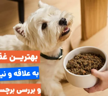 : انتخاب «بهترین غذای سگ» به معنای درک نیازهای منحصربه‌فرد سگ شما و یادگیری خواندن برچسب‌های مواد غذایی‌ئه