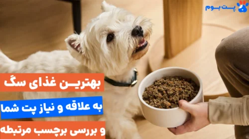 راهنمای جامع انتخاب بهترین غذای سگ : متناسب با سن، نژاد و نیازهای سگ شما
