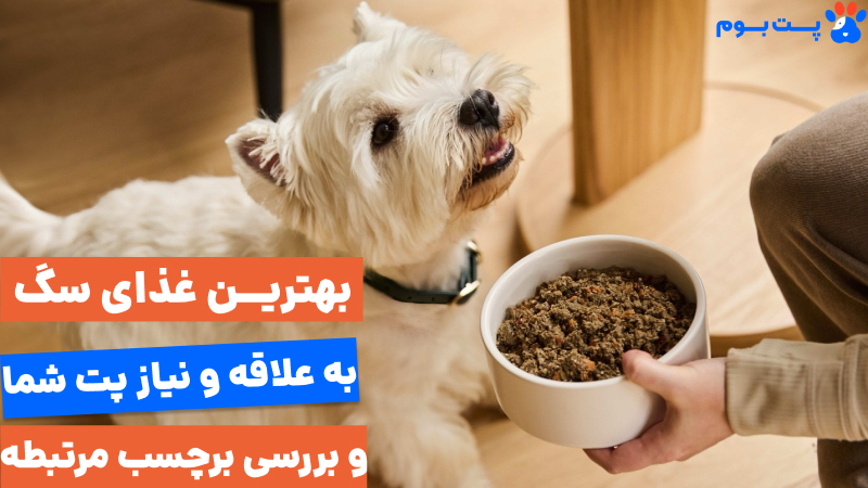 : انتخاب «بهترین غذای سگ» به معنای درک نیازهای منحصربه‌فرد سگ شما و یادگیری خواندن برچسب‌های مواد غذایی‌ئه