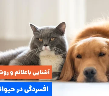 علائم و درمان افسردگی در حیوانات خانگی