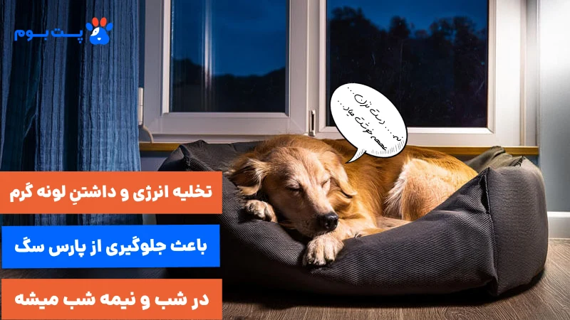تخلیه انرژی و داشتن لونه گرم و نرم باعث جلوگیری از پارس سگ در شب و نیمه شب میشه