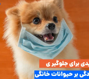 آلودگی هوا برای حیوانات خانگی خطرناک‌تر از انسان‌هاست؛ چون آن‌ها سریع‌تر نفس می‌کشند و به زمین نزدیک‌ترند.