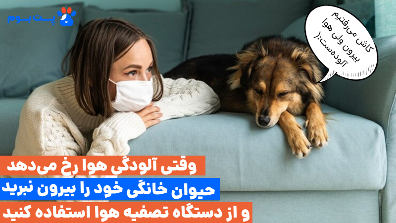 تاثیر آلودگی هوا بر حیوانات خانگی