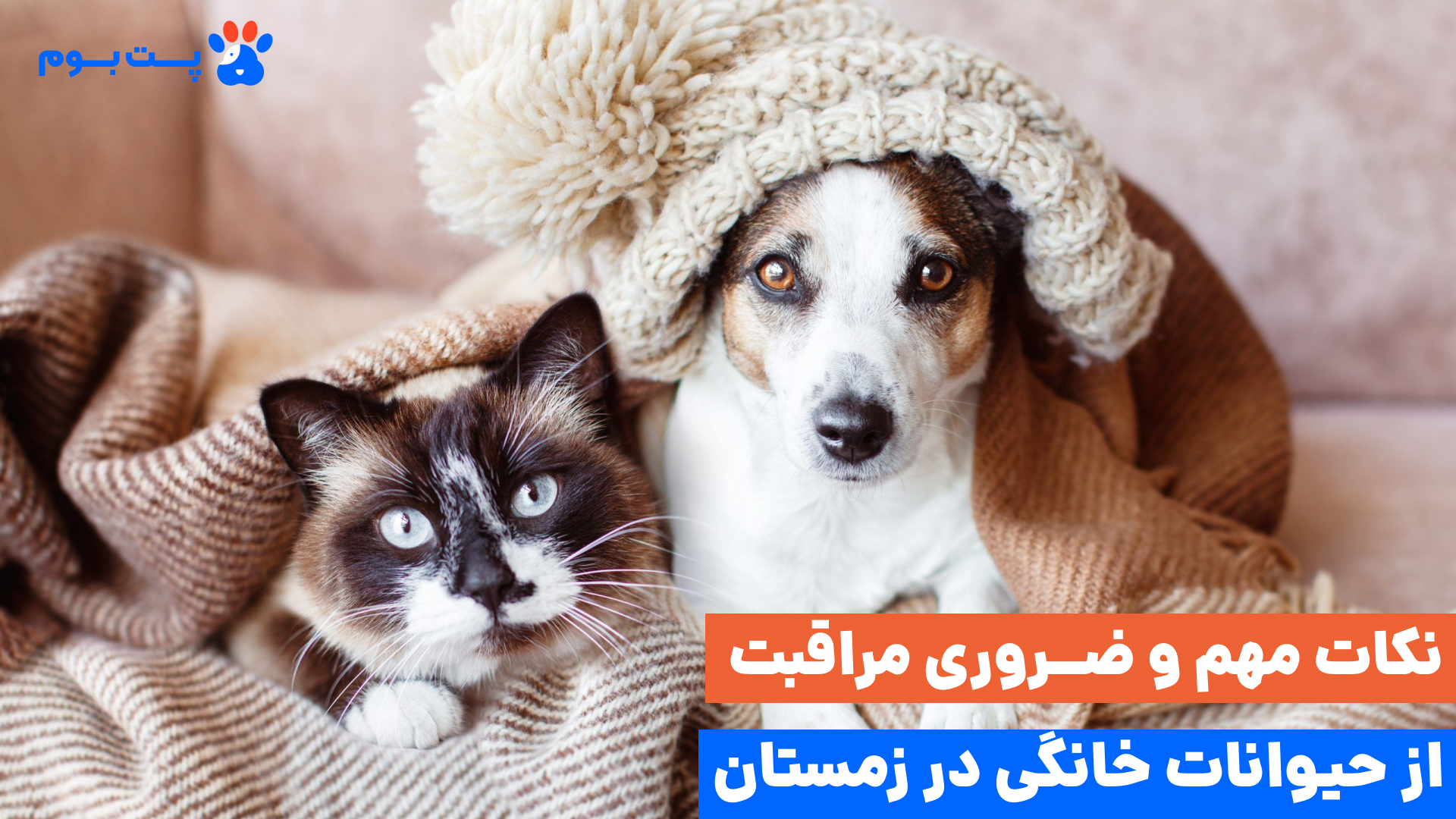 زمستان فصل سخت و زیبایی برای نگهداری پت هاست. به شرطی که اصول مراقبت از حیوانات خانگی در زمستان رو رعایت کنیم.
