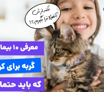 آموزش بهداشت دست به کودکان بعد از بازی با گربه؛ اولین گام برای پیشگیری از بیماری گربه در کودکان.