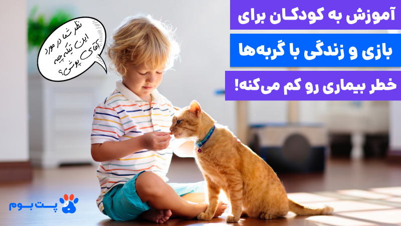 بیماریهای مشترک گربه و انسان