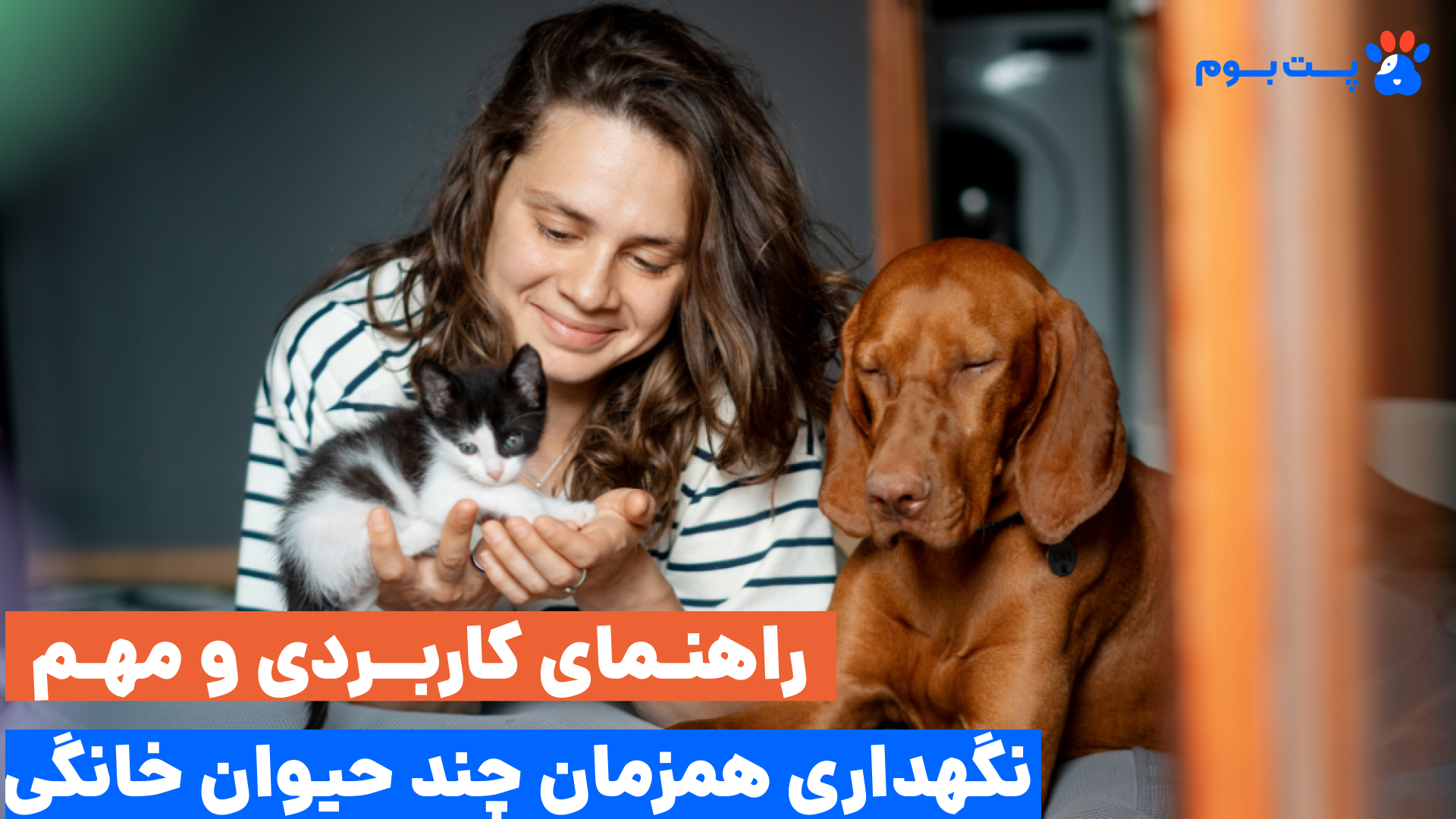 رویای نهایی بسیاری از ما نگهداری همزمان چند حیوان خانگی و رسیدن به نقطه‌ای که سگ و گربه‌مان با آرامش و صلح کنار هم زندگی کنند.