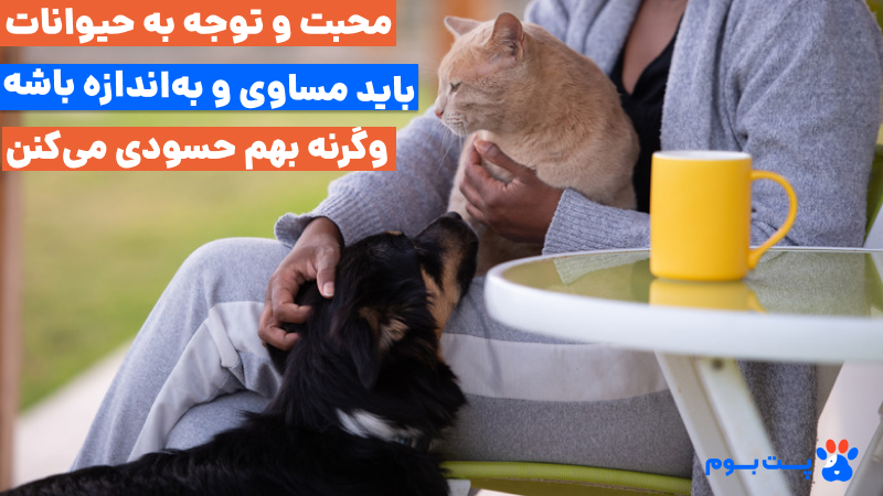 نگهداری همزمان چند حیوان خانگی