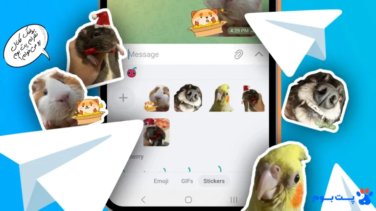 دسترسی ۲۴ ساعته به متخصص: چطور بهترین دامپزشک آنلاین تلگرام را پیدا کنیم؟