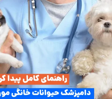 همیشه دو فاکتور اصلی را در جستجو در نظر بگیرید: نزدیکی جغرافیایی و تخصص پزشک. جستجوی آدرس دامپزشک حیوانات خانگی باید استراتژیک و هدفمند باشد.