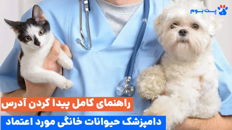 راهنمای آدرس دامپزشک حیوانات خانگی در هر کجای ایران