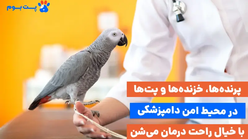 بهترین کلینیک دامپزشکی تهران