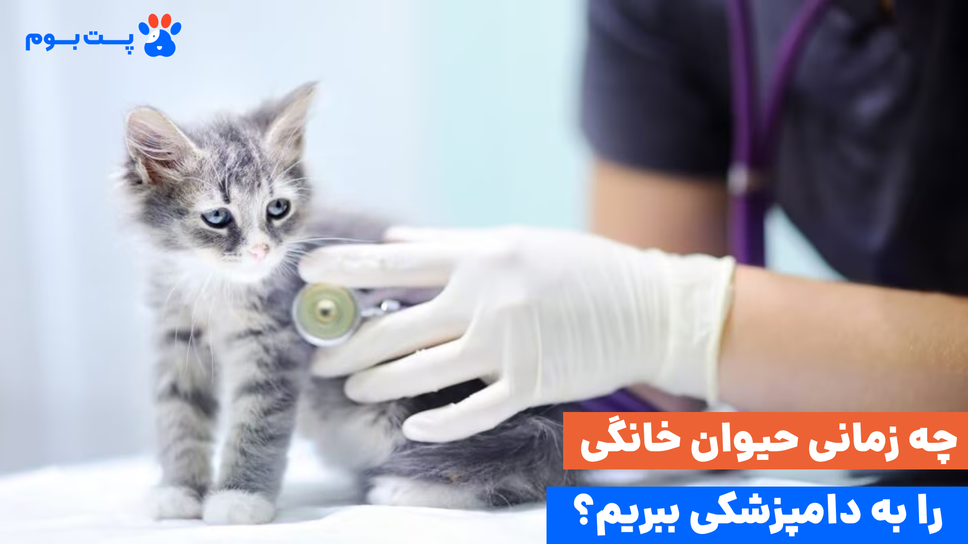 در صورت دیدن علائم بیماری و یا چکاپ ماهانه باید مراجعه حیوان خانگی به دامپزشکی را جدی بگیرید.