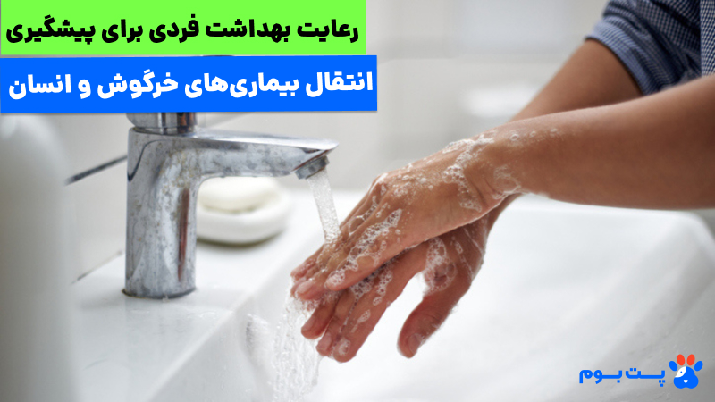 بیماری های مشترک خرگوش و انسان