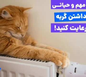 یکی از بهترین راه‌های گرم نگه داشتن گربه استفاده از گرمای ملایم رادیاتور است، اما مواظب سوختگی پوست حساس گربه باشید!