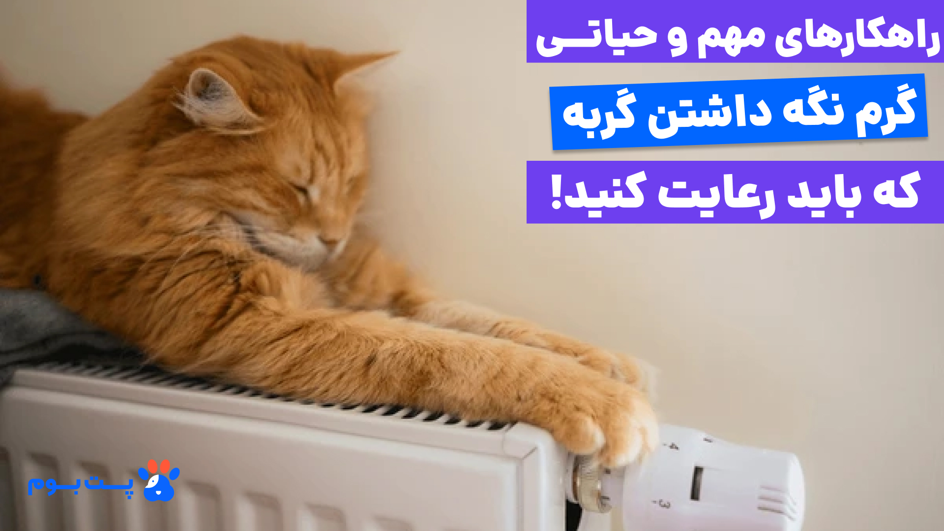 یکی از بهترین راه‌های گرم نگه داشتن گربه استفاده از گرمای ملایم رادیاتور است، اما مواظب سوختگی پوست حساس گربه باشید!