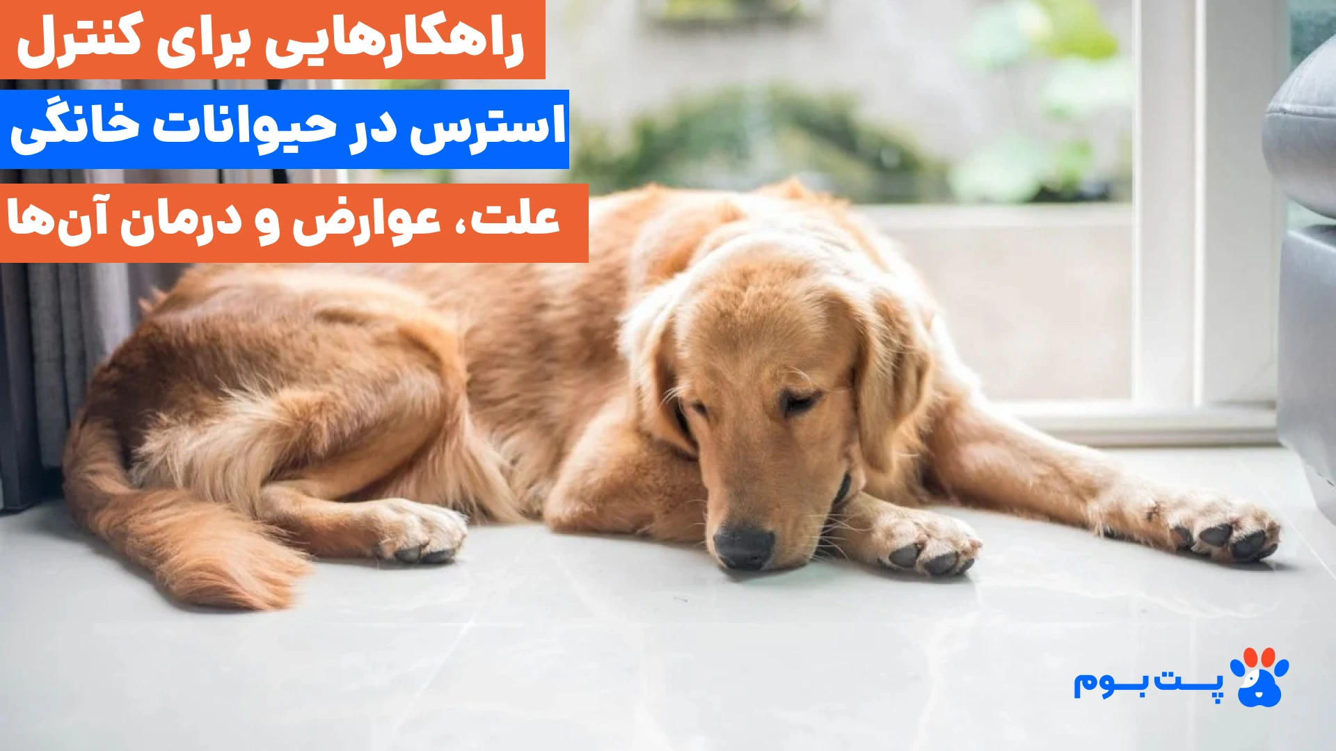 عوامل ایجاد استرس در حیوانات خانگی بیماری با درد پنهان، تغییر محیط زندگی یا جابه‌جایی برنامه غذا و خواب رخ می‌دهد.