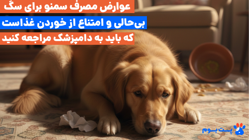سمنو برای سگ