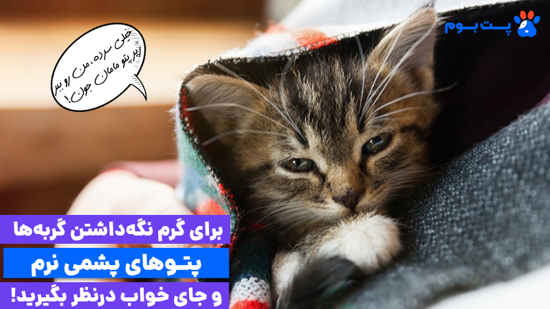 گرم نگه داشتن گربه