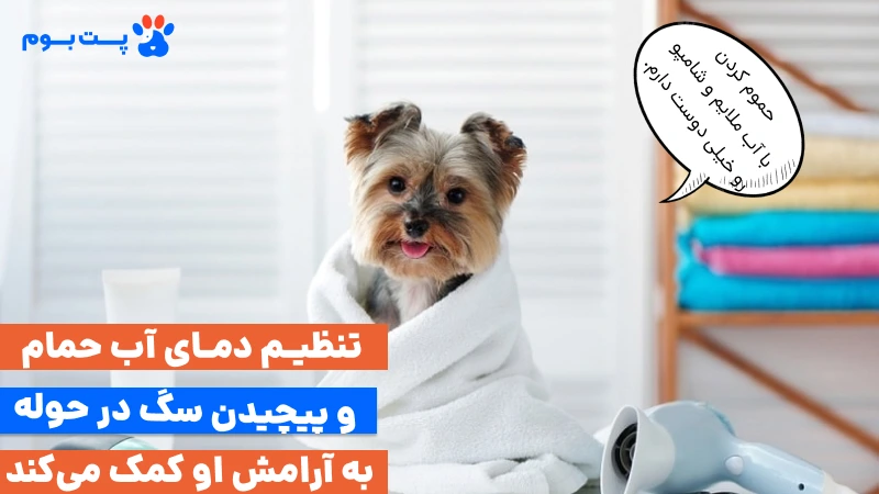 حمام بردن سگها