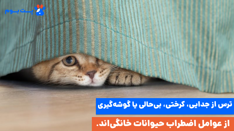 استرس حیوانات خانگی