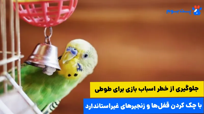بهترین اسباب بازی برای طوطی