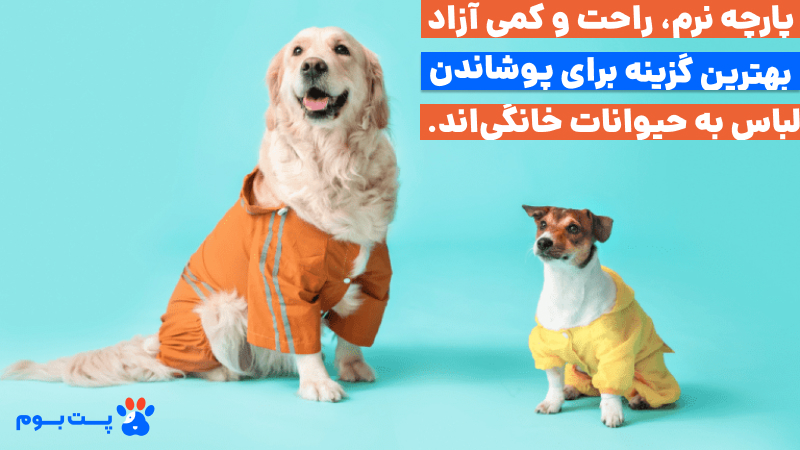 لباس پوشاندن به حیوانات خانگی