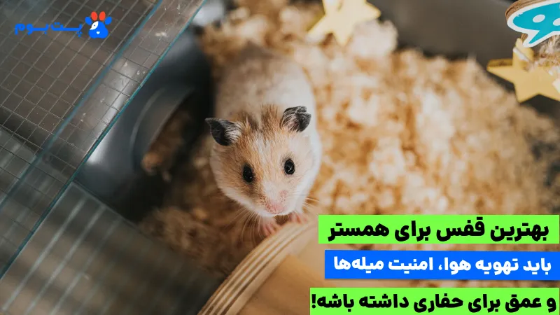 خرید قفس همستر