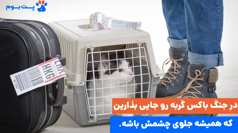 باکس و غذای گربه را در جنگ همیشه کنار در نگه دارید و سریع جابجا شوید.