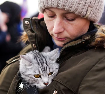 مراقبت از پت در جنگ باید با آرامش و طبق دستور صورت بگیره. از قبل کوله جنگ برای حیوان خانگی رو جمع کنید تا آماده‌ی بحران باشین.