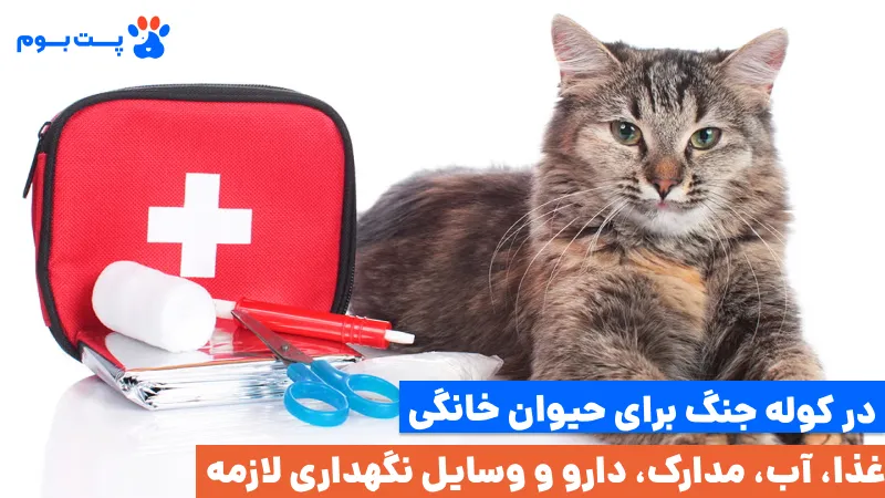 حتما در کوله جنگ برای پت باید غذا، آب، دارو و لوازم نگهداری داشته باشین